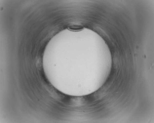 X0000071330079200607212018