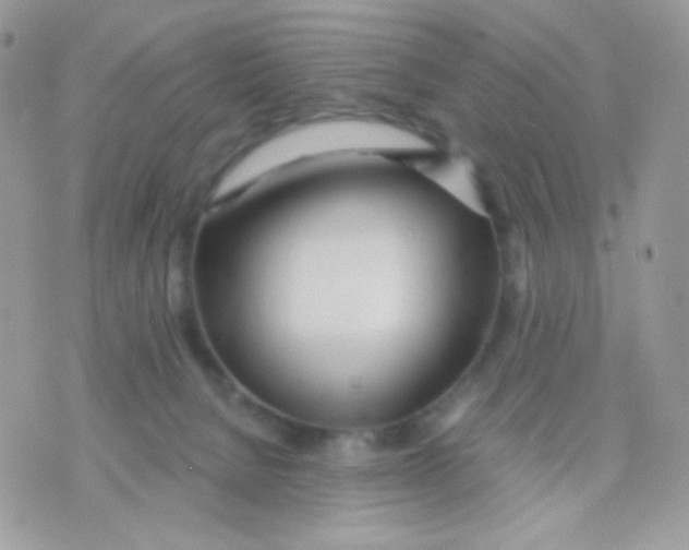 X0000071330080200607212018