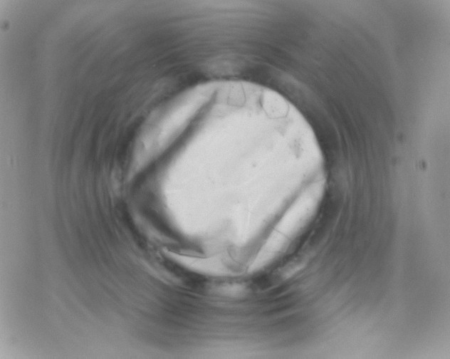 X0000071330081200607212018