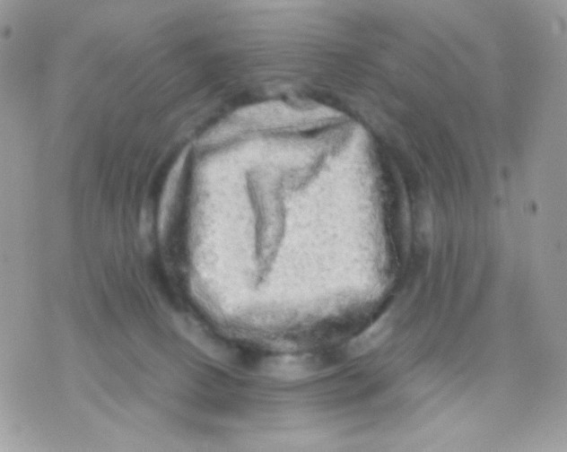 X0000071330082200607212018