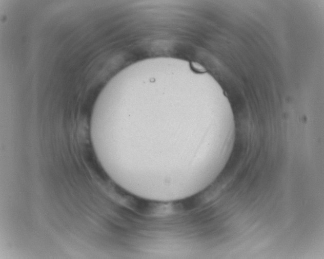 X0000071330083200607212018