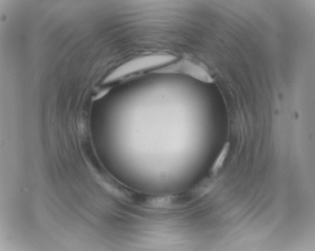 X0000071330084200607212018