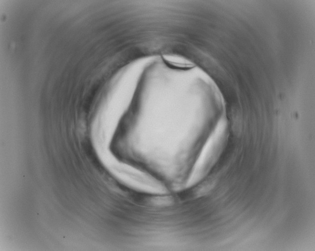 X0000071330085200607212018