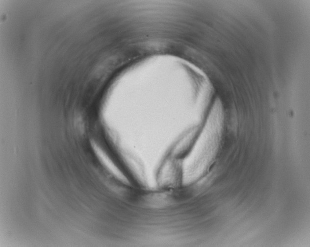 X0000071330086200607212018