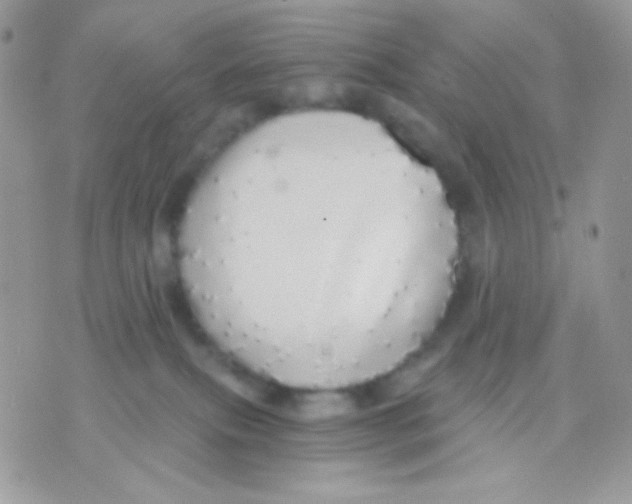 X0000071330087200607212018