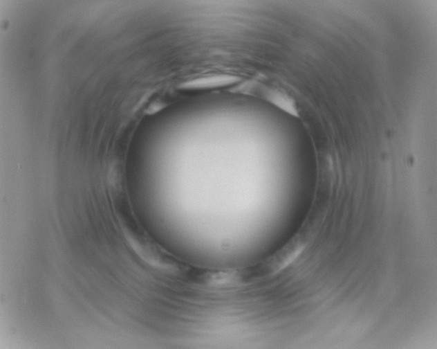 X0000071330088200607212018