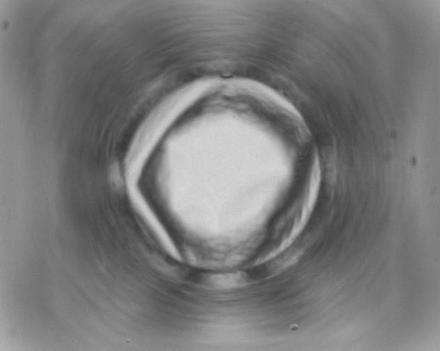 X0000071330089200607212018