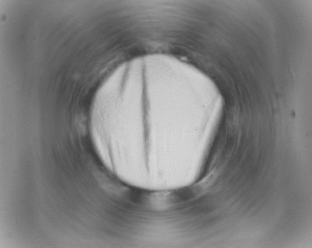 X0000071330090200607212018