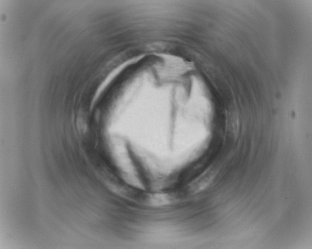 X0000071330091200607212018