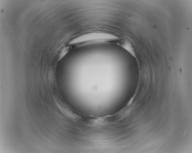 X0000071330092200607212018