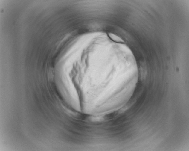 X0000071330093200607212018