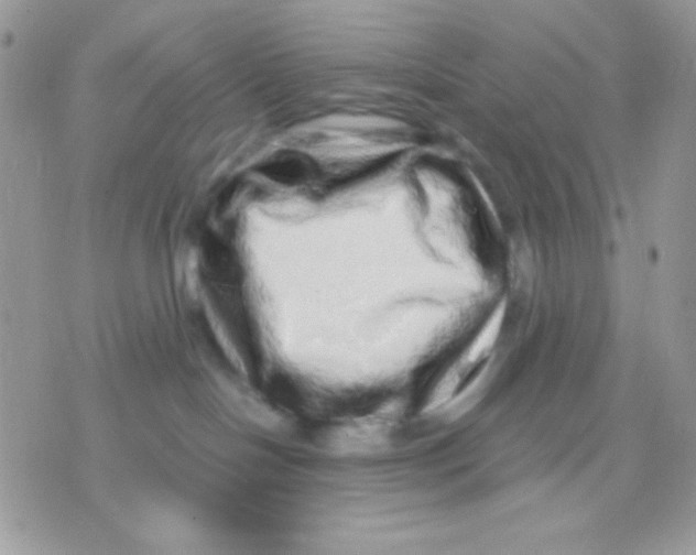 X0000071330094200607212018