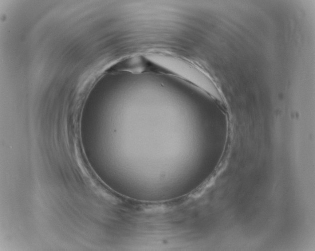 X0000071330097200607212017