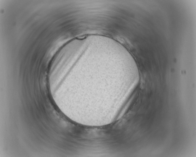 X0000071330098200607212017