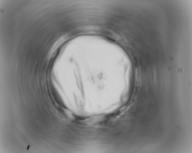 X0000071330099200607212017