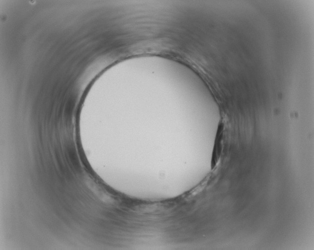 X0000071330100200607212017