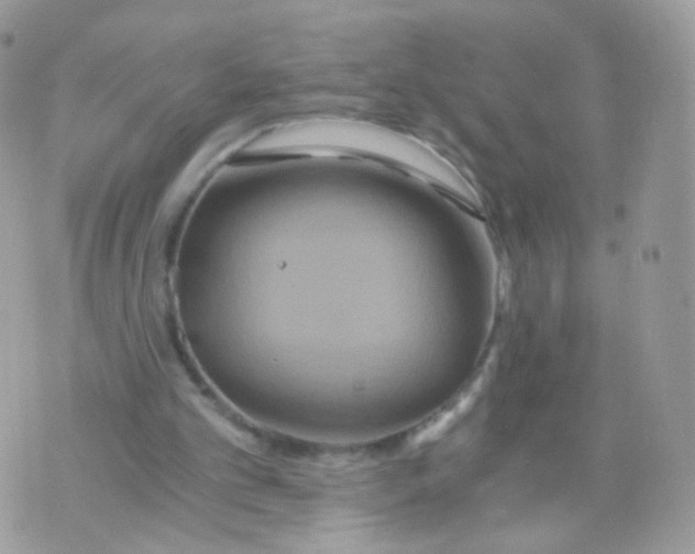 X0000071330101200607212017