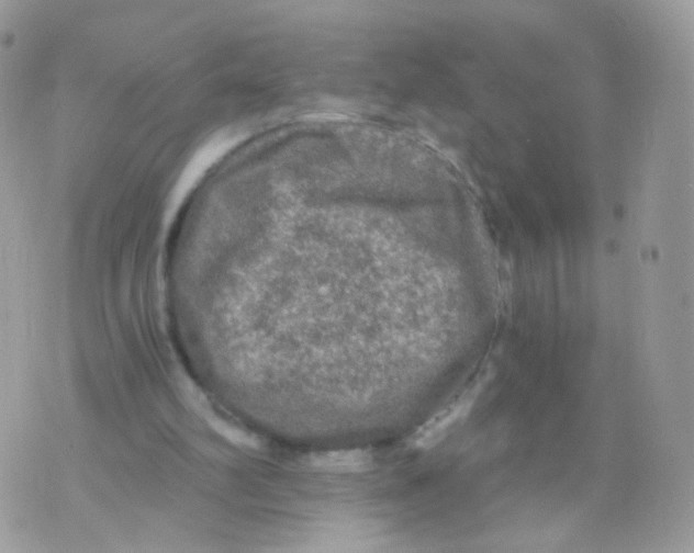 X0000071330102200607212017