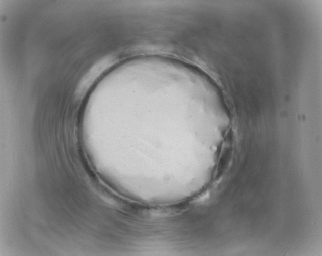 X0000071330103200607212017