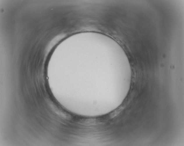 X0000071330104200607212017