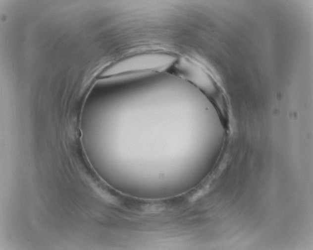 X0000071330105200607212017