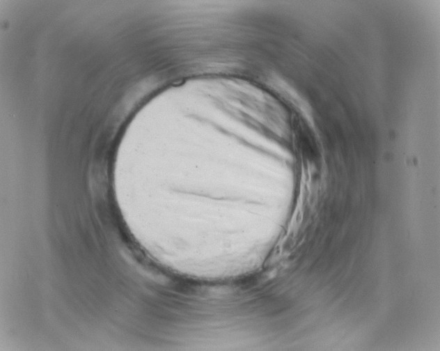 X0000071330107200607212017