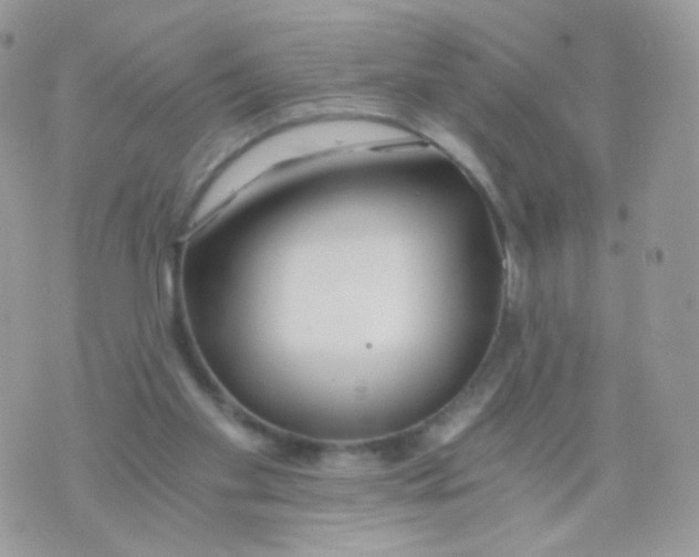 X0000071330109200607212017