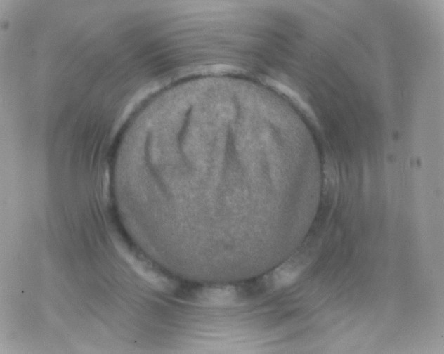 X0000071330110200607212017