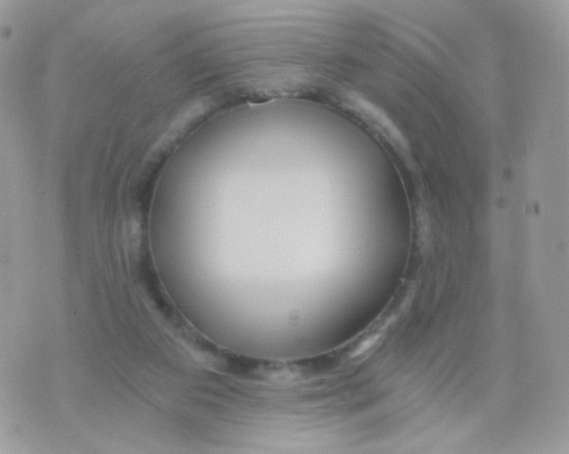 X0000071330113200607212017