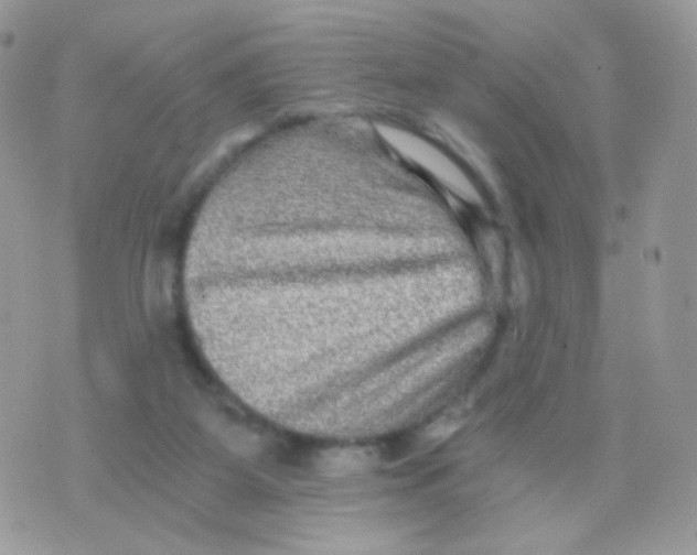 X0000071330115200607212017