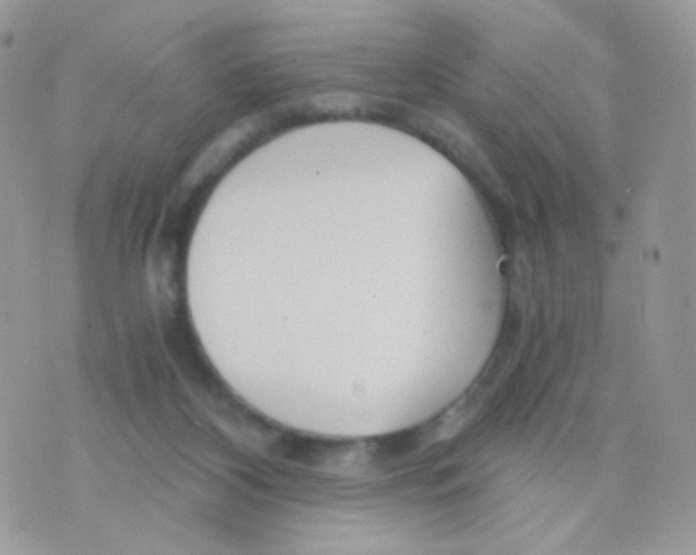 X0000071330116200607212017