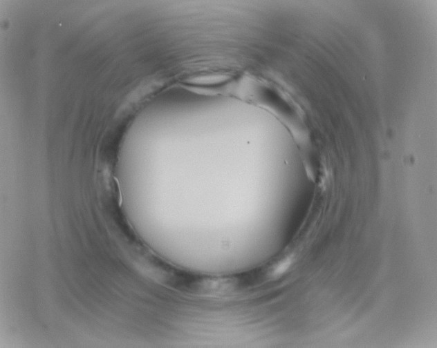 X0000071330117200607212017