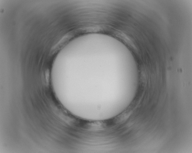 X0000071330118200607212017