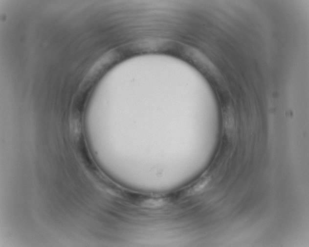 X0000071330119200607212017