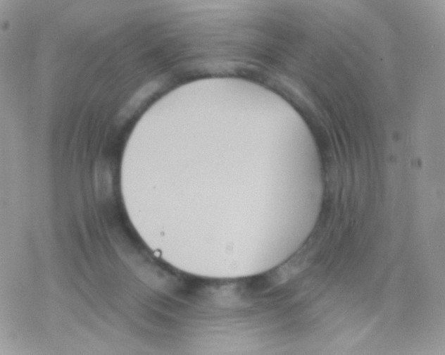 X0000071330120200607212017