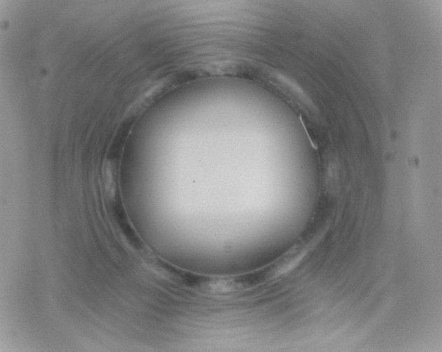 X0000071330121200607212017