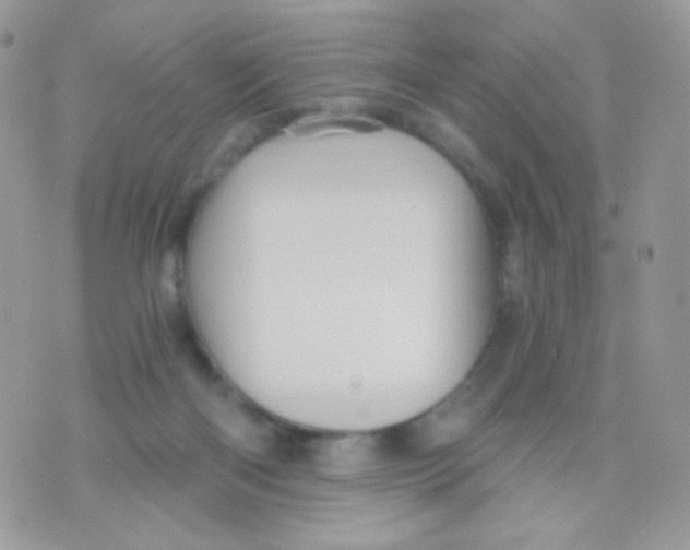 X0000071330122200607212017