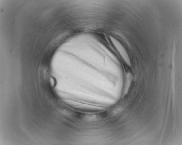 X0000071330123200607212017