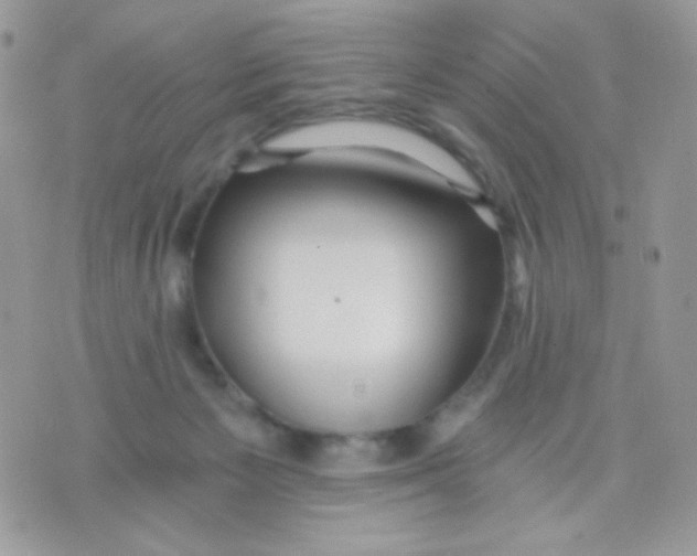 X0000071330125200607212017