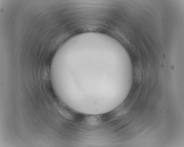 X0000071330126200607212017