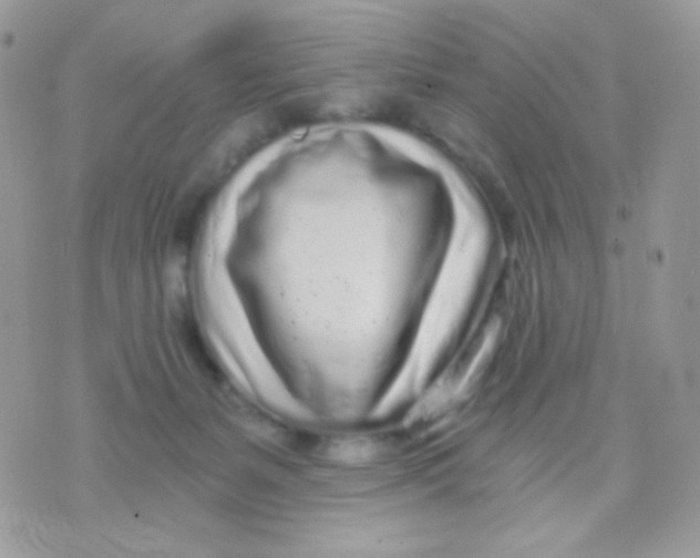 X0000071330127200607212017