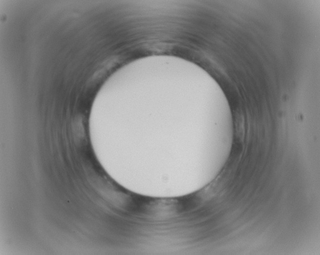 X0000071330128200607212017