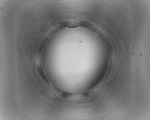 X0000071330129200607212017