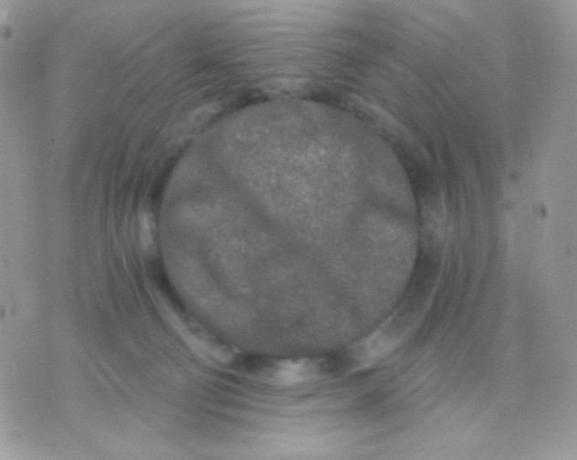 X0000071330130200607212017