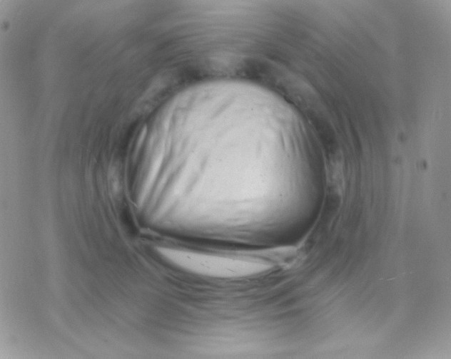 X0000071330131200607212017