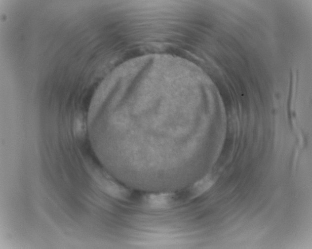 X0000071330134200607212016