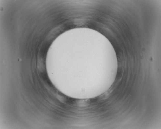 X0000071330136200607212016