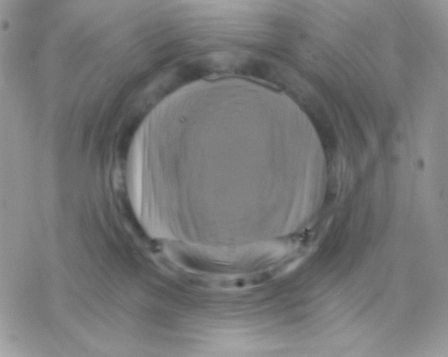 X0000071330137200607212016