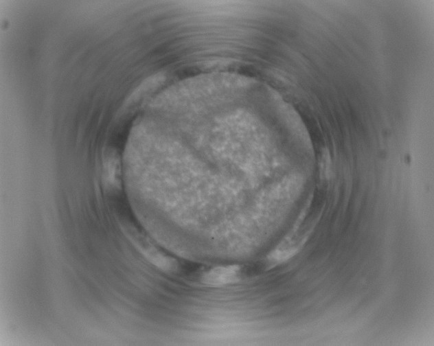 X0000071330138200607212016