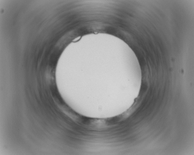 X0000071330140200607212016